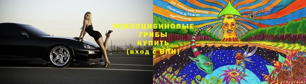 ешки Алексин