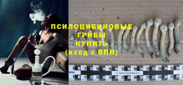 ешки Алексин