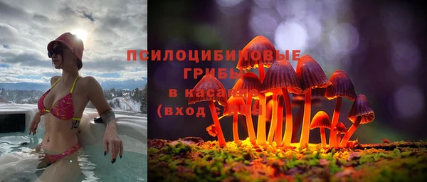 марки nbome Алзамай
