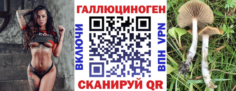 Псилоцибиновые грибы GOLDEN TEACHER  наркота  Ликино-Дулёво 